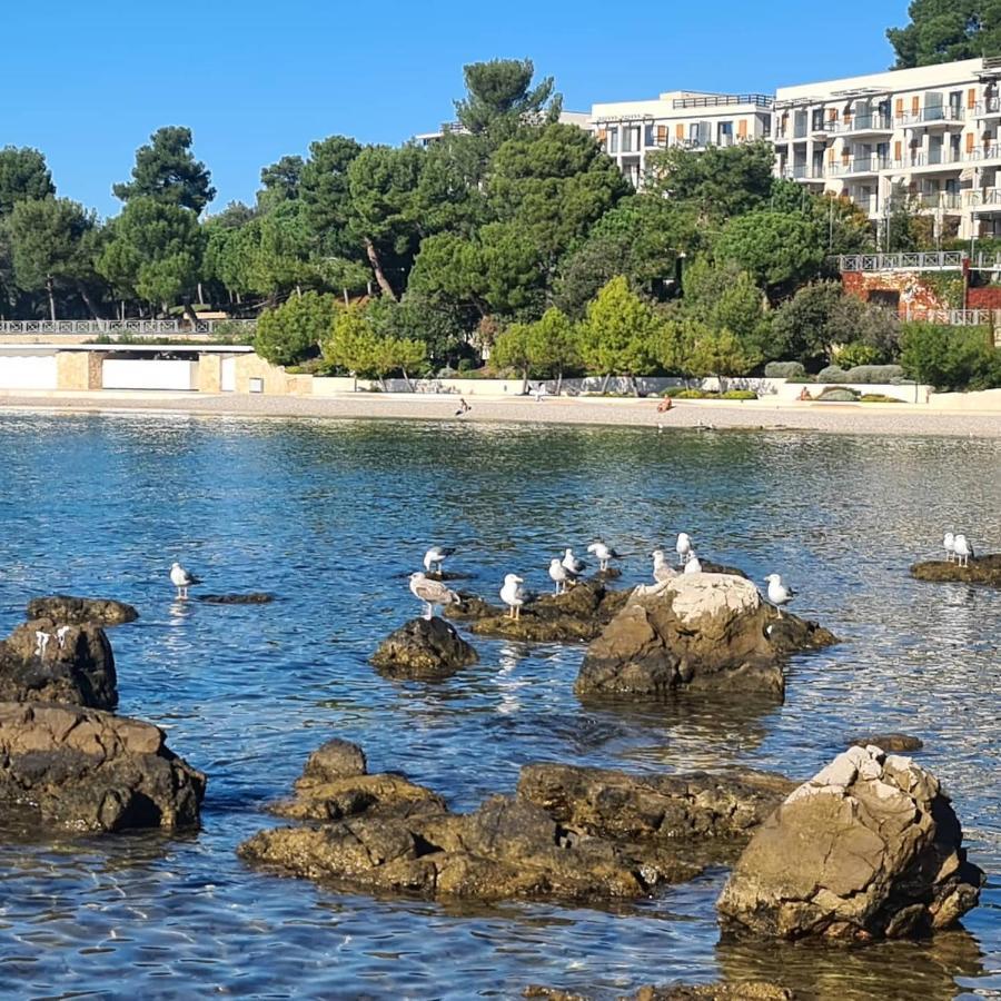 Vila Tena Rovinj Croatia Ngoại thất bức ảnh
