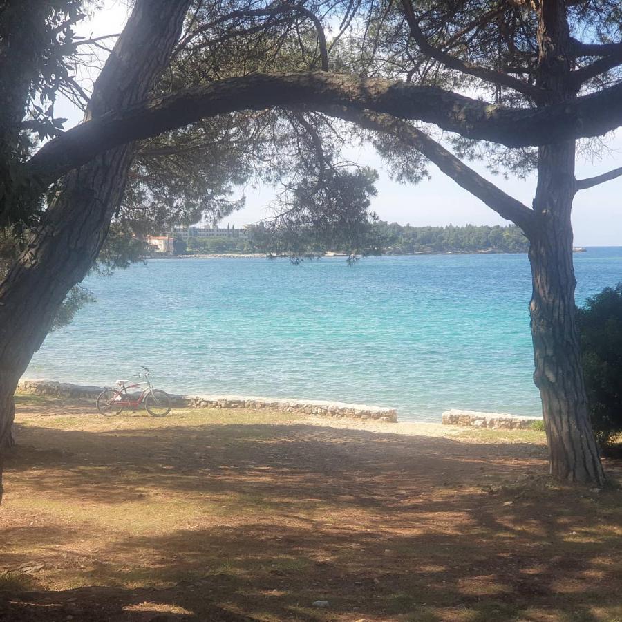 Vila Tena Rovinj Croatia Ngoại thất bức ảnh