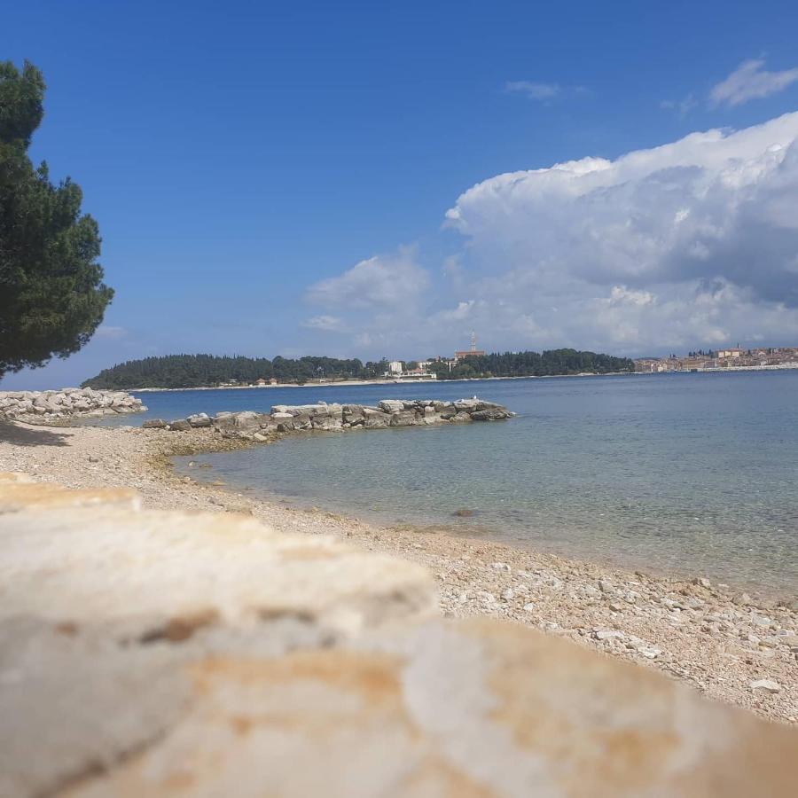 Vila Tena Rovinj Croatia Ngoại thất bức ảnh