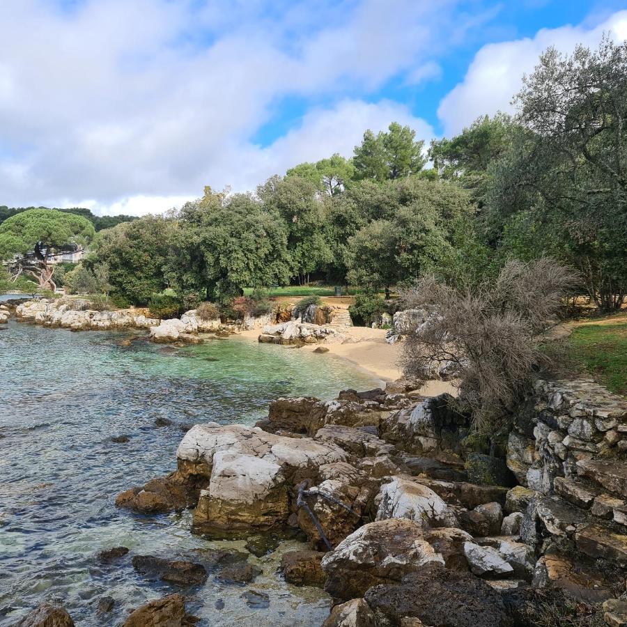 Vila Tena Rovinj Croatia Ngoại thất bức ảnh